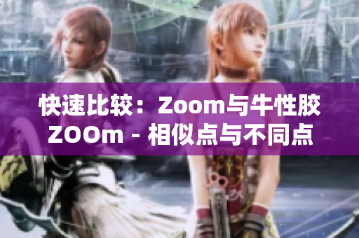 快速比较：Zoom与牛性胶ZOOm - 相似点与不同点