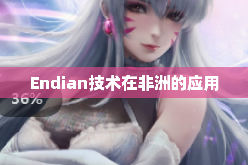 Endian技术在非洲的应用
