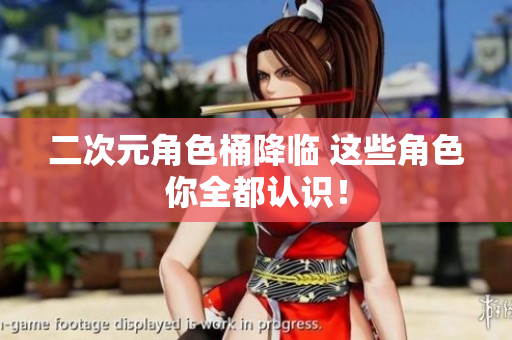 二次元角色桶降临 这些角色你全都认识！