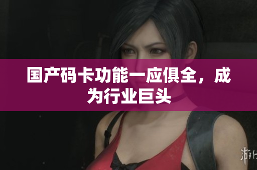 国产码卡功能一应俱全，成为行业巨头