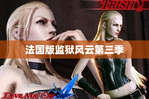 法国版监狱风云第三季