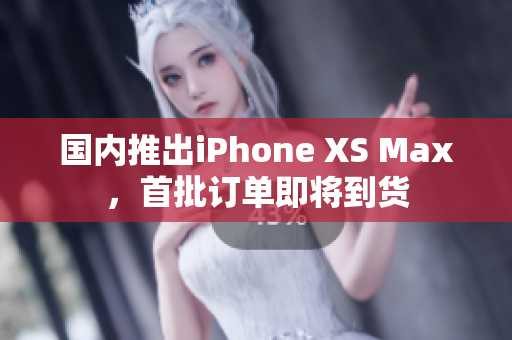 国内推出iPhone XS Max，首批订单即将到货