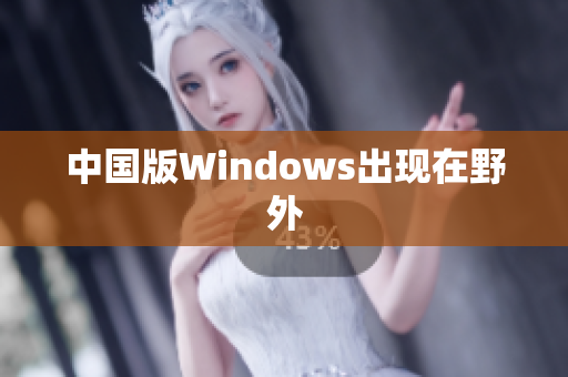 中国版Windows出现在野外