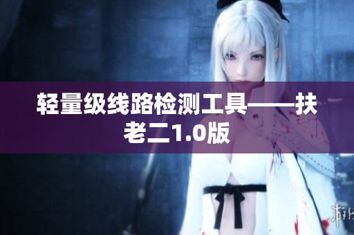 轻量级线路检测工具——扶老二1.0版