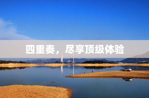 四重奏，尽享顶级体验