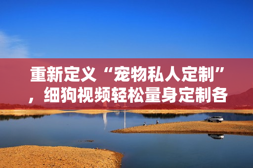 重新定义“宠物私人定制”，细狗视频轻松量身定制各类宠物个性化视频