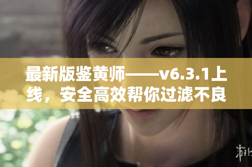最新版鉴黄师——v6.3.1上线，安全高效帮你过滤不良内容