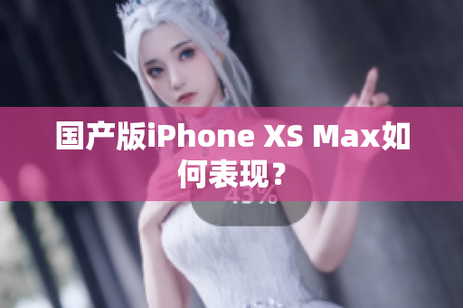 国产版iPhone XS Max如何表现？