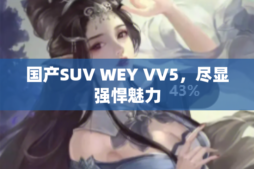 国产SUV WEY VV5，尽显强悍魅力
