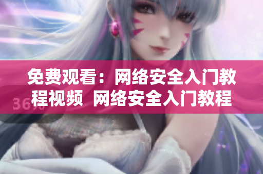 免费观看：网络安全入门教程视频  网络安全入门教程视频免费在线观看