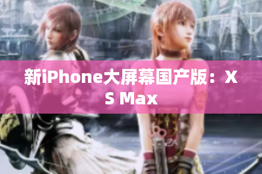新iPhone大屏幕国产版：XS Max