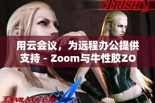 用云会议，为远程办公提供支持 - Zoom与牛性胶ZOOm