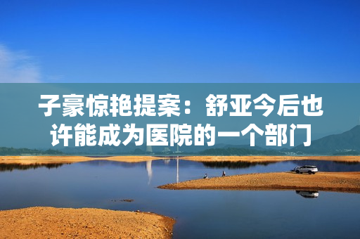 子豪惊艳提案：舒亚今后也许能成为医院的一个部门