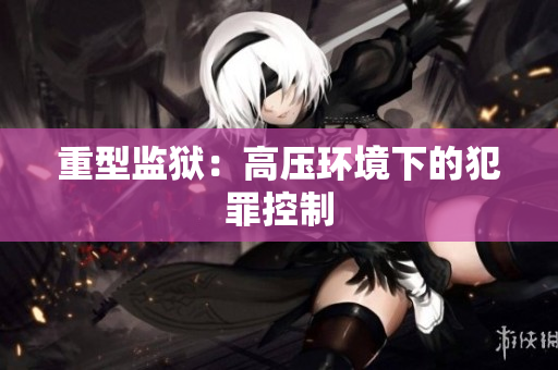 重型监狱：高压环境下的犯罪控制