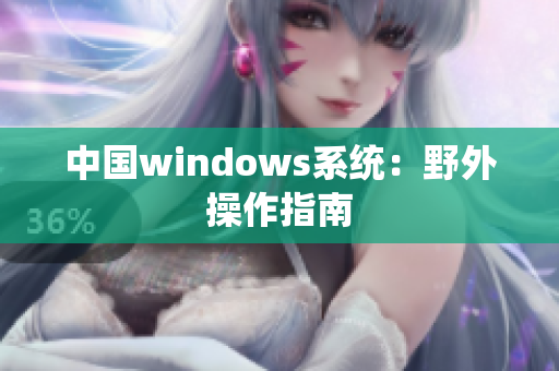 中国windows系统：野外操作指南
