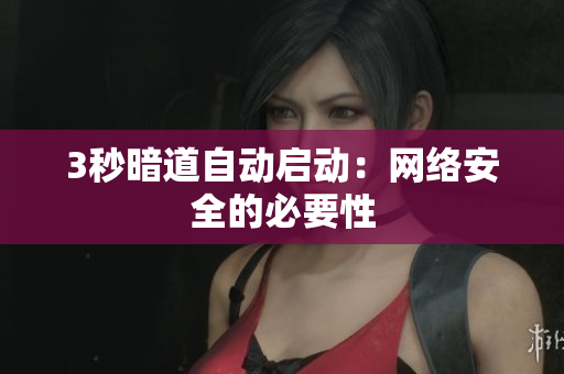 3秒暗道自动启动：网络安全的必要性