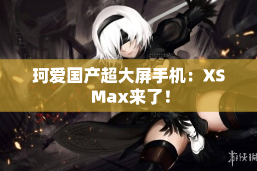 珂爱国产超大屏手机：XS Max来了！