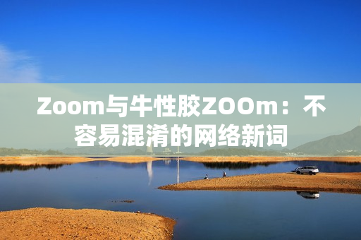 Zoom与牛性胶ZOOm：不容易混淆的网络新词