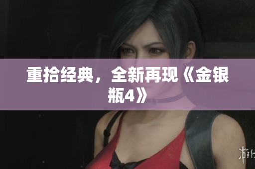 重拾经典，全新再现《金银瓶4》
