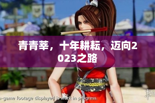 青青莘，十年耕耘，迈向2023之路