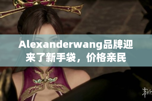 Alexanderwang品牌迎来了新手袋，价格亲民
