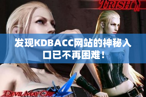 发现KDBACC网站的神秘入口已不再困难！