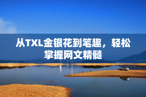 从TXL金银花到笔趣，轻松掌握网文精髓