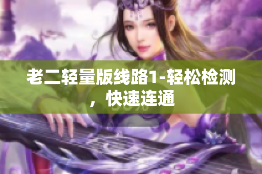 老二轻量版线路1-轻松检测，快速连通