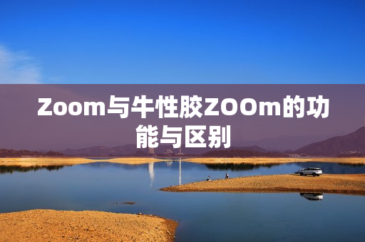 Zoom与牛性胶ZOOm的功能与区别