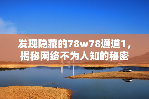 发现隐藏的78w78通道1，揭秘网络不为人知的秘密
