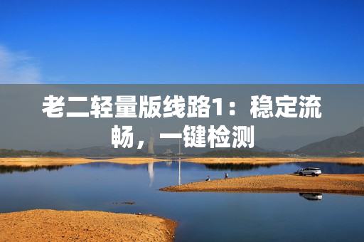 老二轻量版线路1：稳定流畅，一键检测