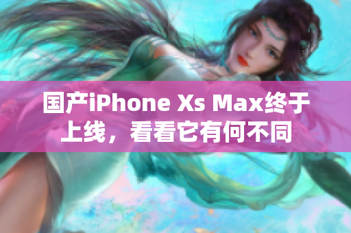 国产iPhone Xs Max终于上线，看看它有何不同