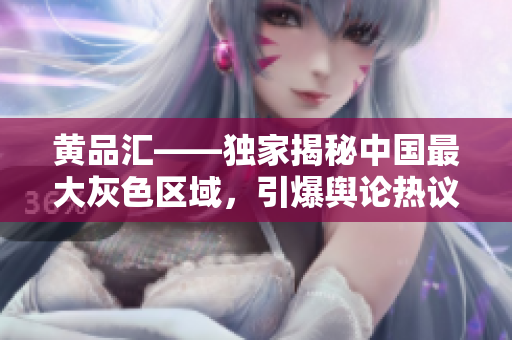 黄品汇——独家揭秘中国最大灰色区域，引爆舆论热议