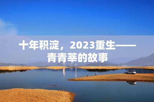 十年积淀，2023重生——青青莘的故事