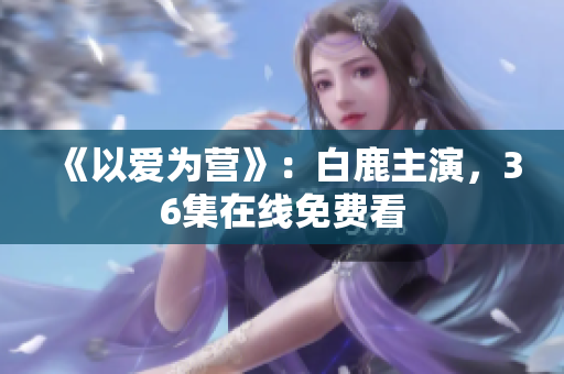 《以爱为营》：白鹿主演，36集在线免费看