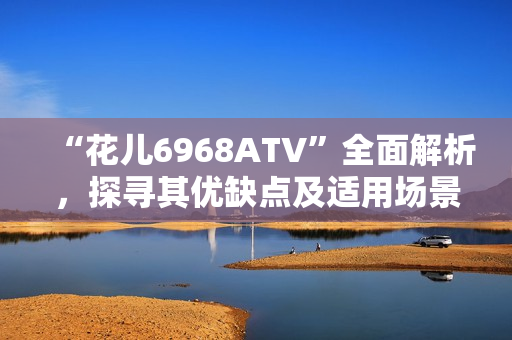 “花儿6968ATV”全面解析，探寻其优缺点及适用场景