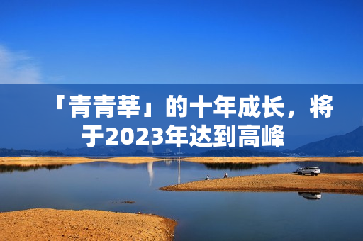 「青青莘」的十年成长，将于2023年达到高峰