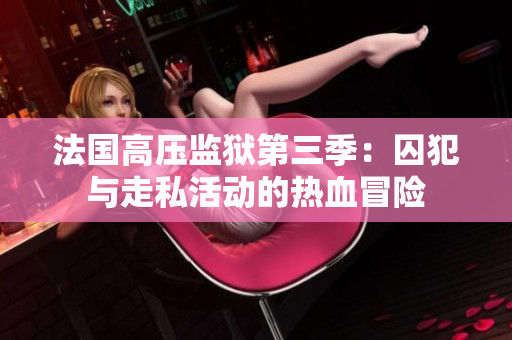 法国高压监狱第三季：囚犯与走私活动的热血冒险