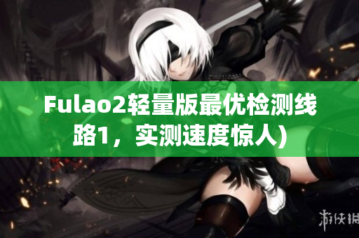 Fulao2轻量版最优检测线路1，实测速度惊人)