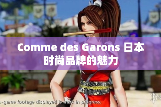 Comme des Garons 日本时尚品牌的魅力