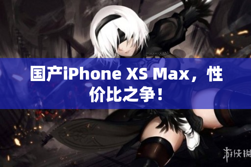 国产iPhone XS Max，性价比之争！
