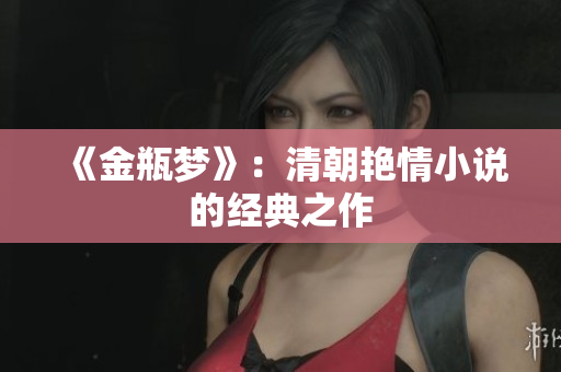 《金瓶梦》：清朝艳情小说的经典之作